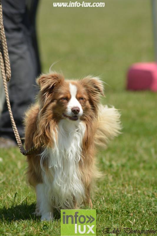 images/2018stmardcanin/Stmardcanin0023
