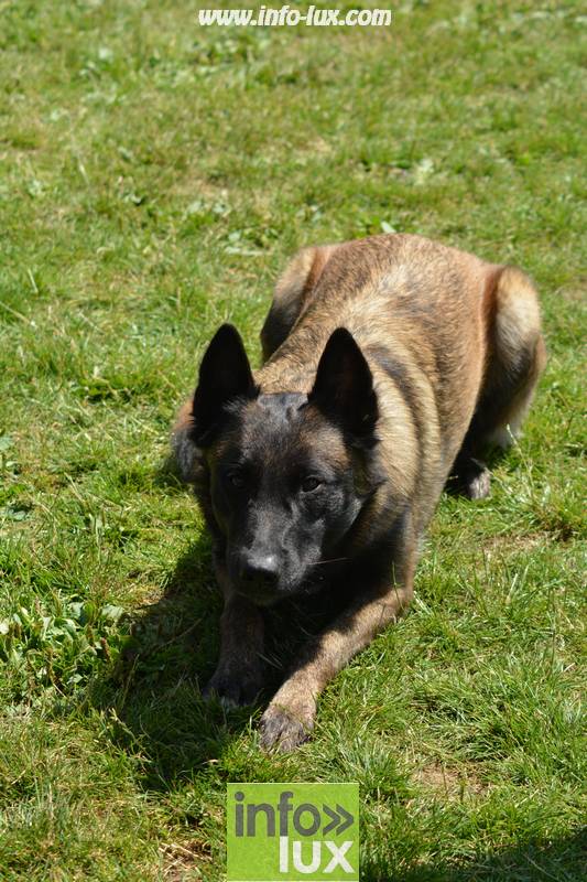 images/2018stmardcanin/Stmardcanin0032