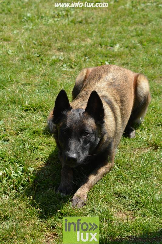 images/2018stmardcanin/Stmardcanin0033