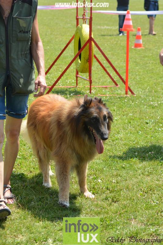 images/2018stmardcanin/Stmardcanin0035