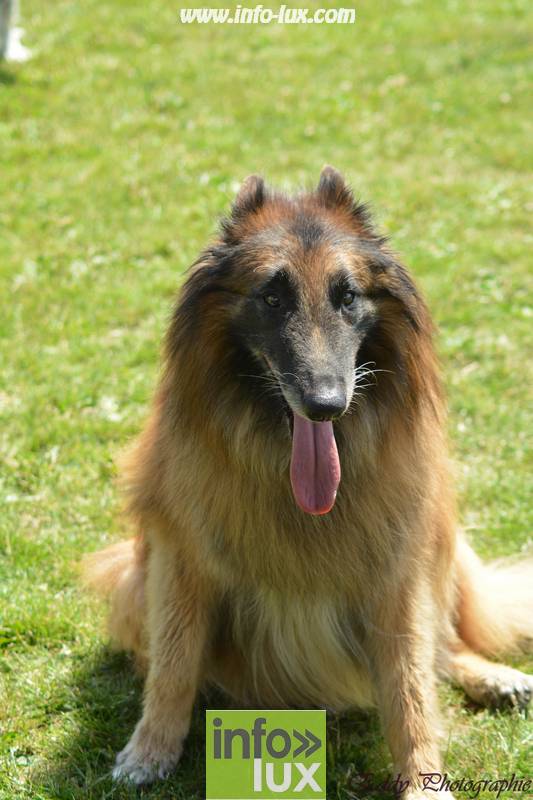 images/2018stmardcanin/Stmardcanin0037