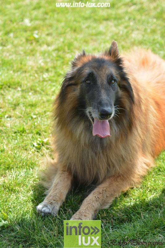 images/2018stmardcanin/Stmardcanin0039