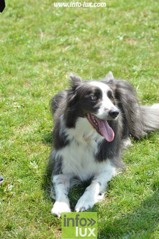 images/2018stmardcanin/Stmardcanin0040