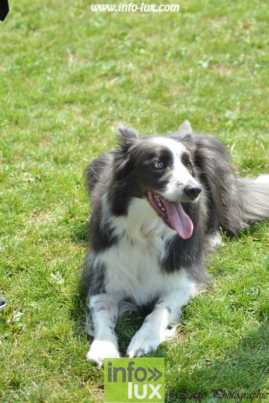 images/2018stmardcanin/Stmardcanin0041