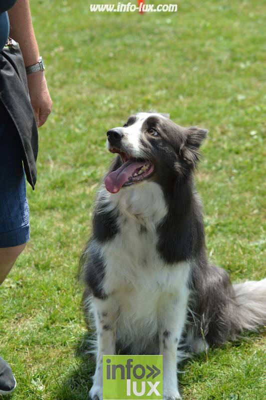 images/2018stmardcanin/Stmardcanin0042