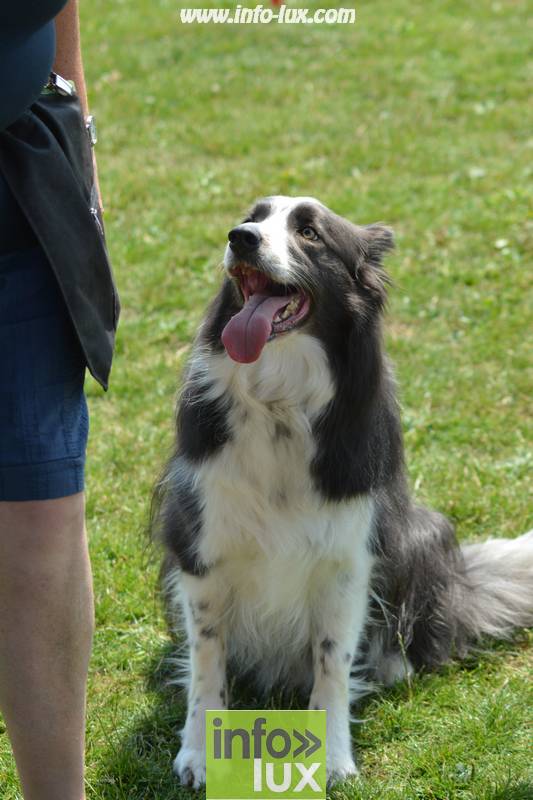 images/2018stmardcanin/Stmardcanin0043