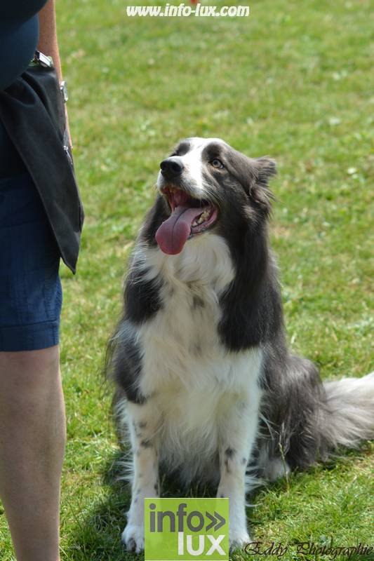 images/2018stmardcanin/Stmardcanin0044