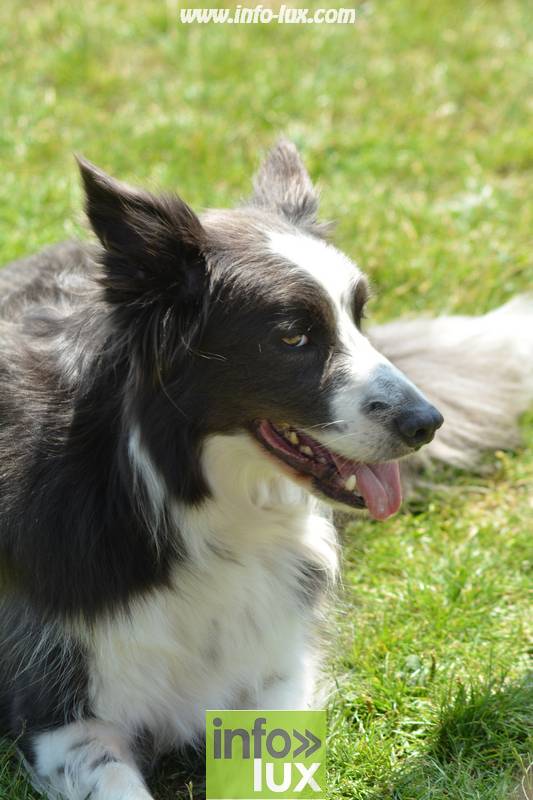 images/2018stmardcanin/Stmardcanin0045