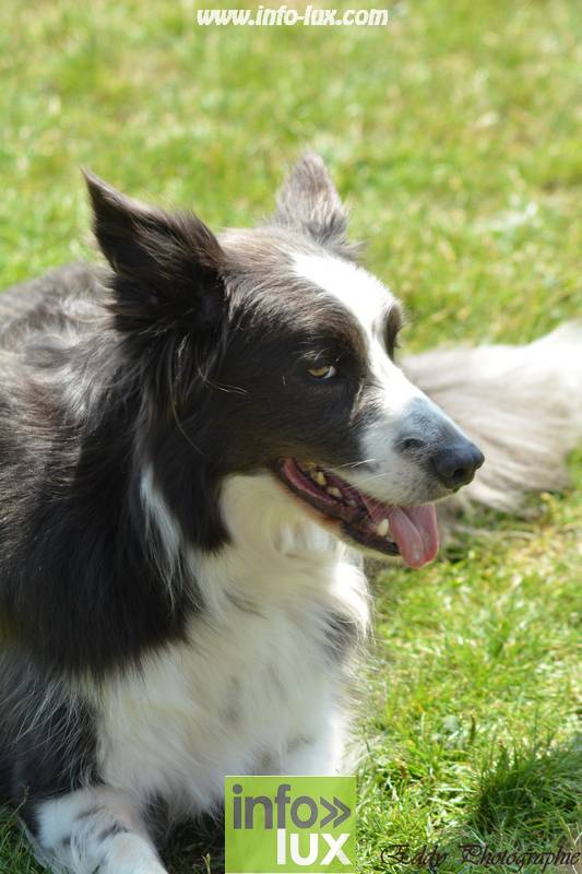 images/2018stmardcanin/Stmardcanin0046