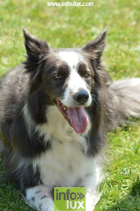 images/2018stmardcanin/Stmardcanin0047