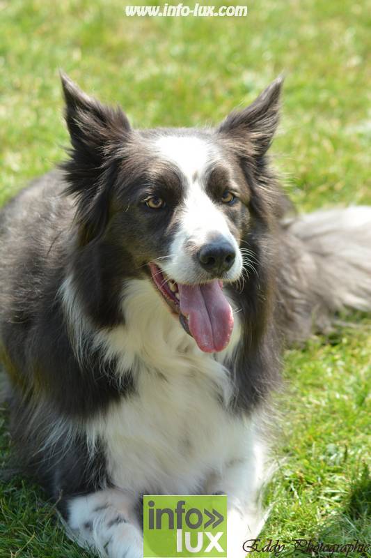 images/2018stmardcanin/Stmardcanin0048
