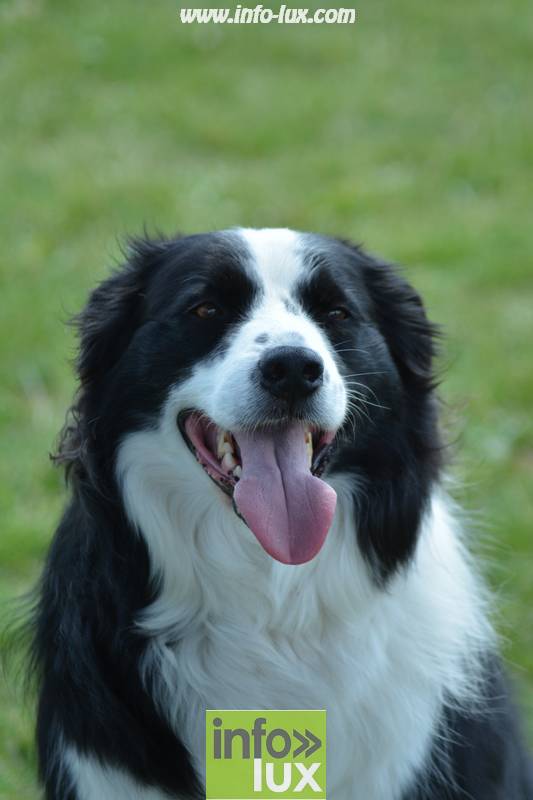 images/2018stmardcanin/Stmardcanin0050