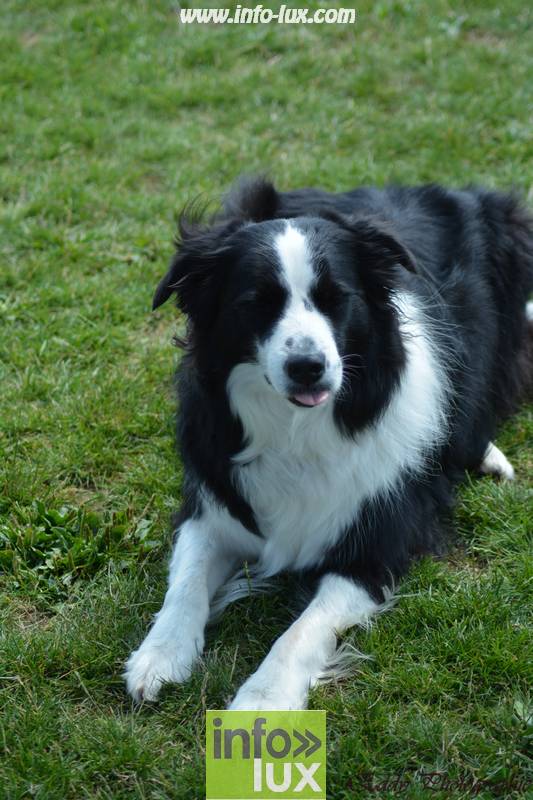 images/2018stmardcanin/Stmardcanin0052