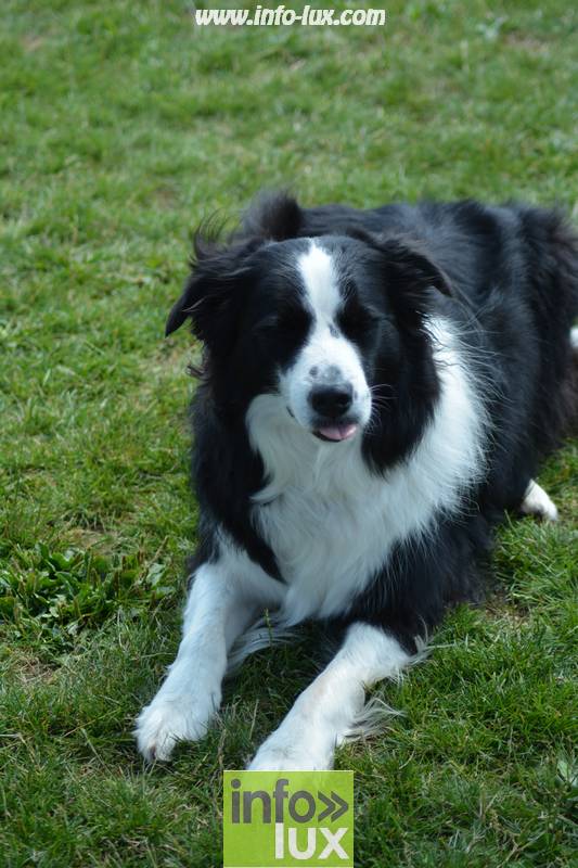 images/2018stmardcanin/Stmardcanin0053