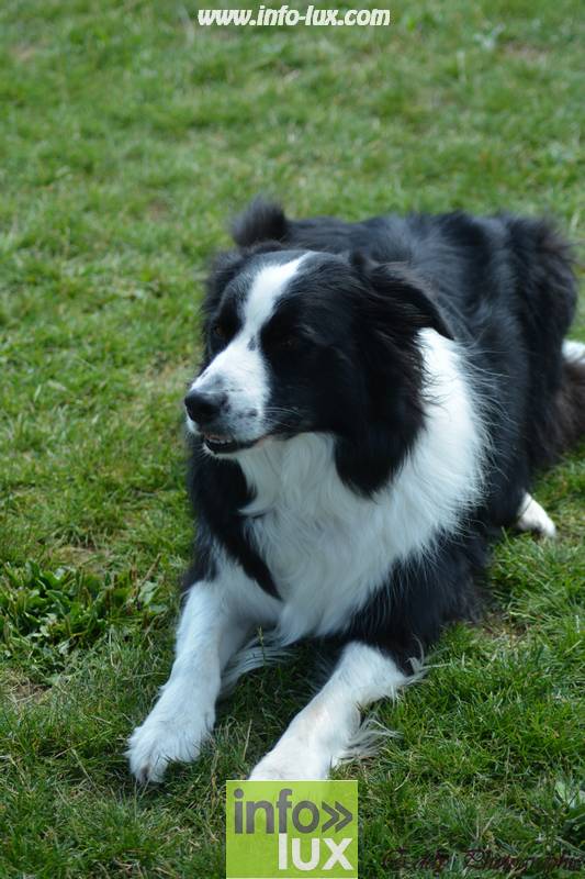 images/2018stmardcanin/Stmardcanin0054