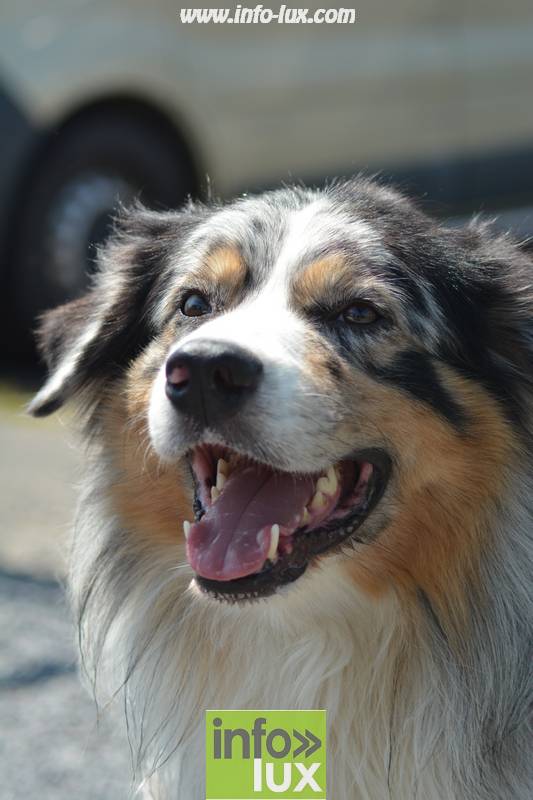 images/2018stmardcanin/Stmardcanin0062