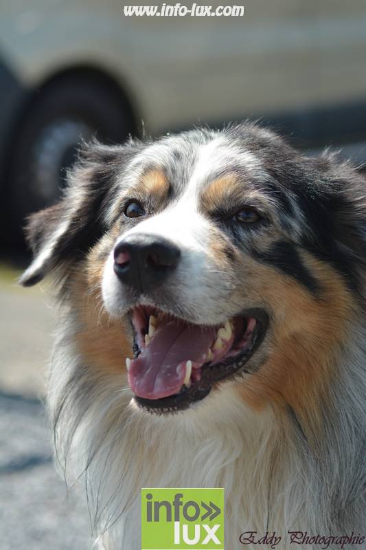 images/2018stmardcanin/Stmardcanin0063