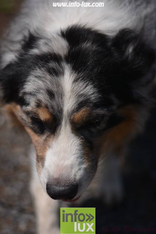 images/2018stmardcanin/Stmardcanin0064