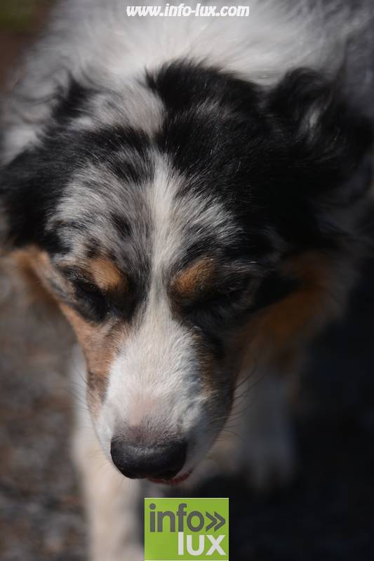 images/2018stmardcanin/Stmardcanin0065