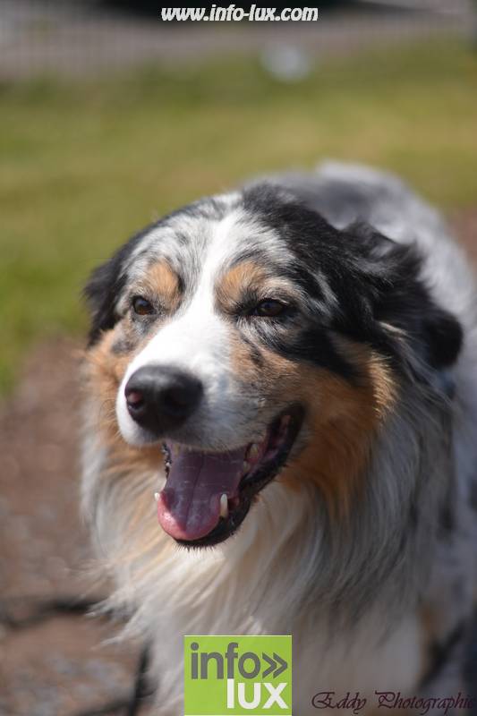 images/2018stmardcanin/Stmardcanin0066