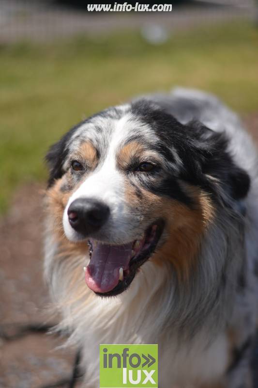 images/2018stmardcanin/Stmardcanin0067