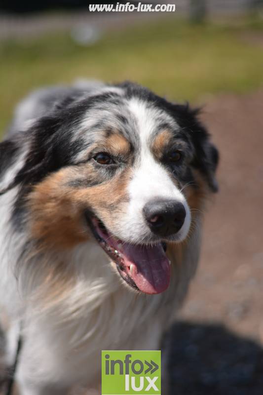 images/2018stmardcanin/Stmardcanin0068