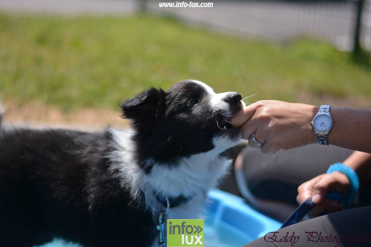 images/2018stmardcanin/Stmardcanin0070