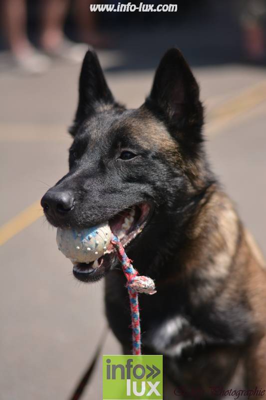 images/2018stmardcanin/Stmardcanin0073
