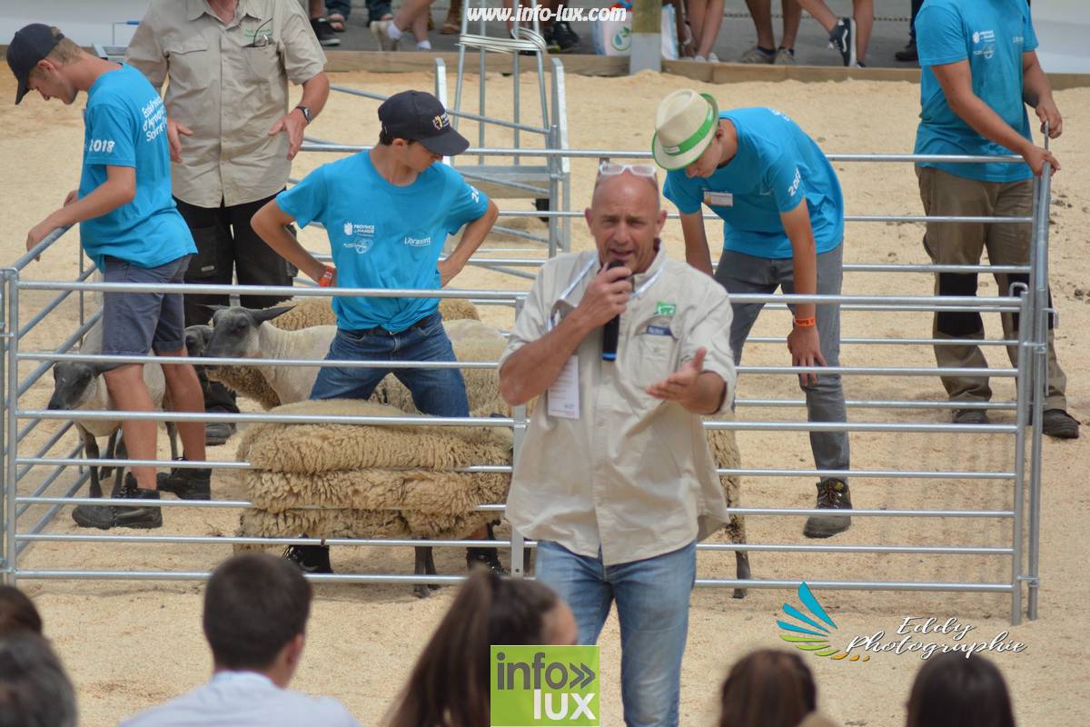 images/2018libramontfoire3/foirelibramont2024