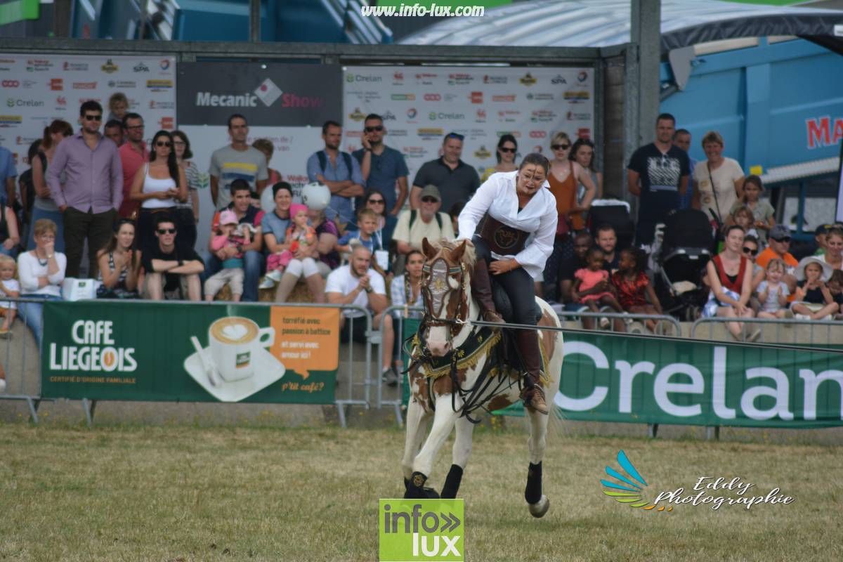images/2018libramontfoire3/foirelibramont2060
