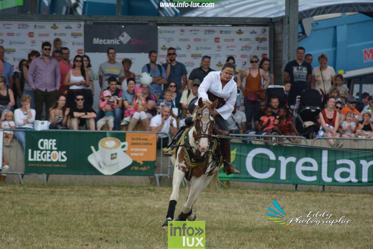 images/2018libramontfoire3/foirelibramont2061