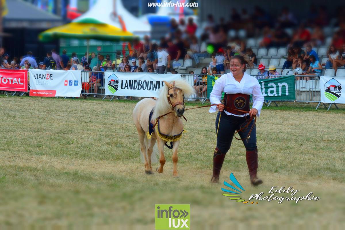 images/2018libramontfoire3/foirelibramont2078