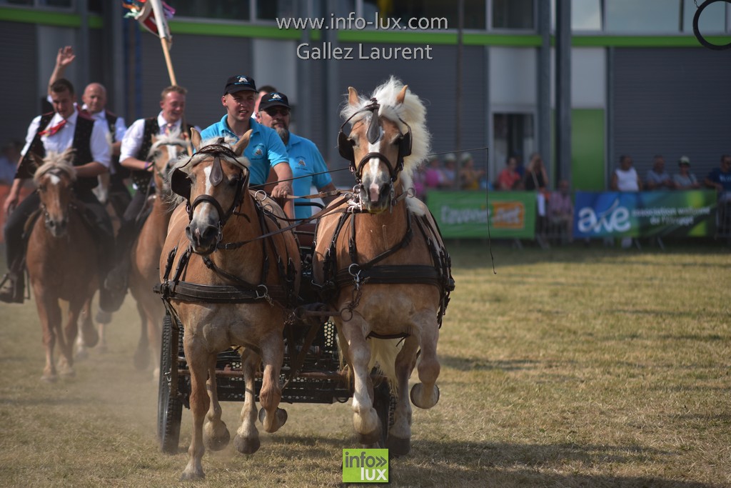 photos de la foire de Libramont 2018