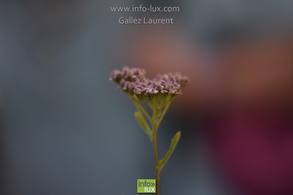 //media/jw_sigpro/users/0000001062/sd/libramonts0043