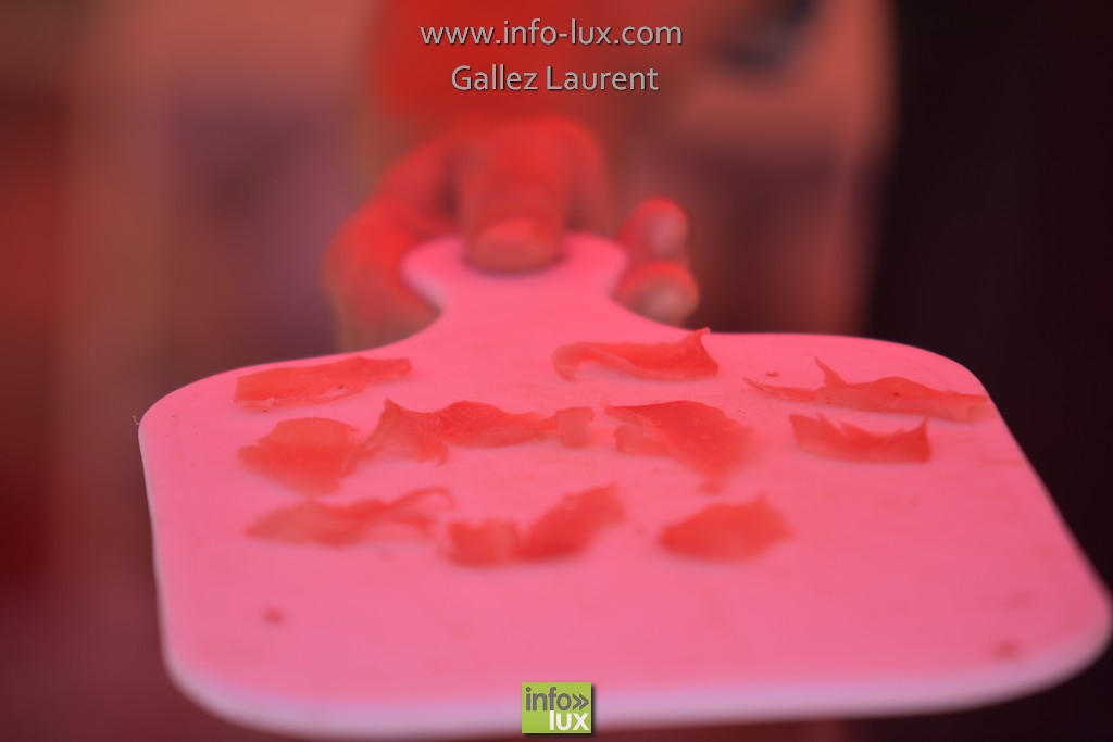 //media/jw_sigpro/users/0000001062/vieuxm/photo0075