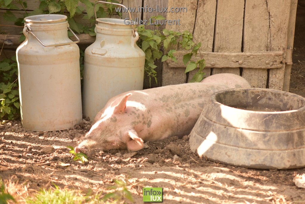 //media/jw_sigpro/users/0000001062/vieuxm/photo0168
