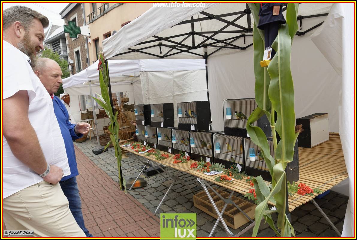 images/2018MarcheenfamenneMArche/Aout119
