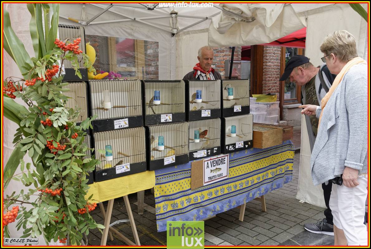 images/2018MarcheenfamenneMArche/Aout146