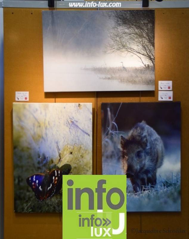 images/2018Meixart2/Meixart036