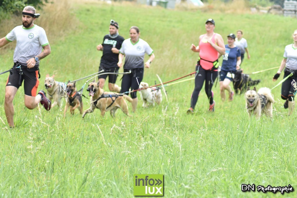 La Dingotte Crazy Dog Run Florenville photos