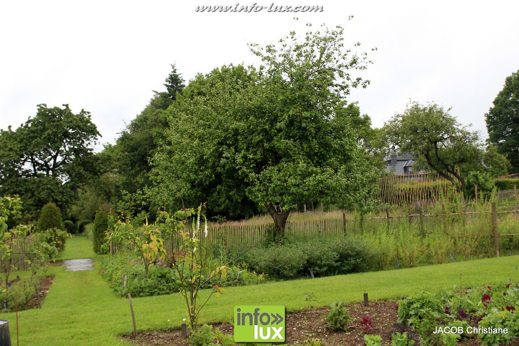 La Semaine de l’Arbre distributions de plans gratuite en province de Luxembourg