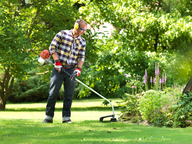 coupe bordure avec AB-Garden