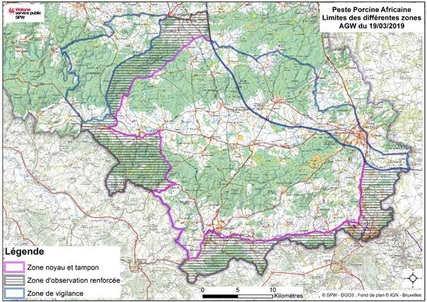  Peste porcine africaine : adaptation de  zone en forêt de Chiny