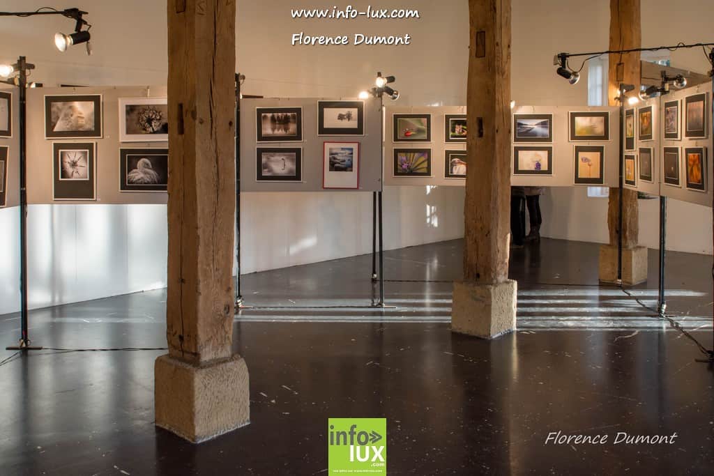 Vernissage du concours enphoprolux à Jamoigne