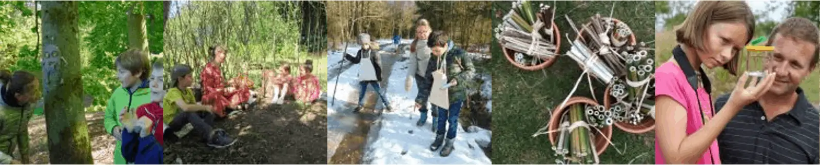 Cycle d’animations “Mercredis en famille” à Anlier