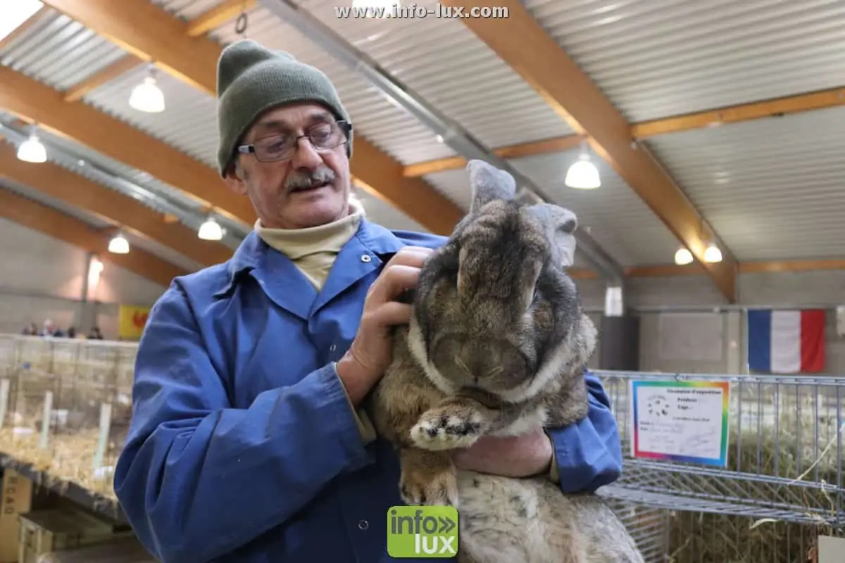 Salon du petit élevage à Bertrix