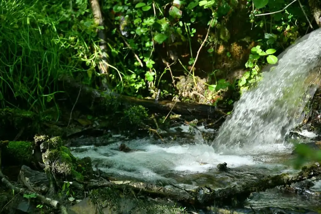 Les pépiniéristes mobilisés avec l’appui du Comptoir forestier en province de Luxembourg