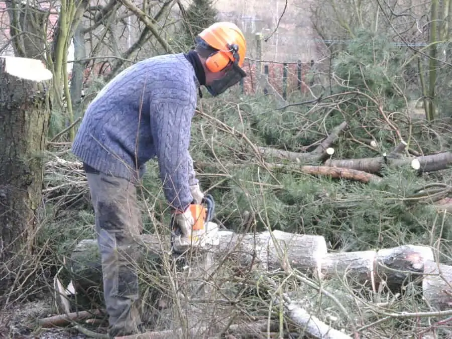 Préservation du bocage et la plantation de haies en province de Luxembourg