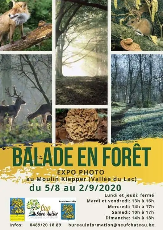 Promenade en forêt d’Anlier  – Neufchateu