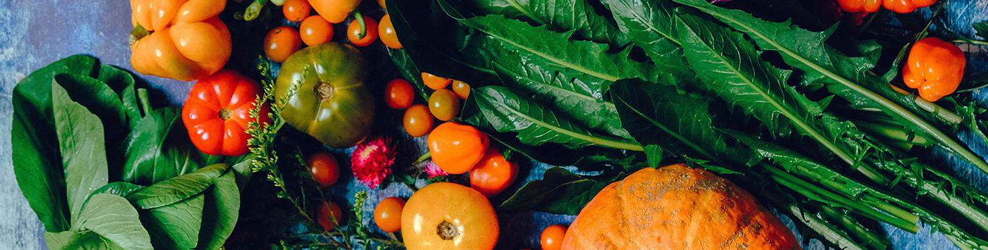 Soutenir la relocalisation de l’alimentation en Wallonie et en province de Luxembourg